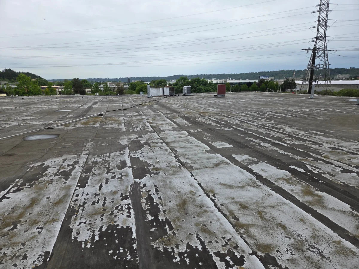 Leaking Roof in a Seattle Commercial Building: Causes and Fixes
