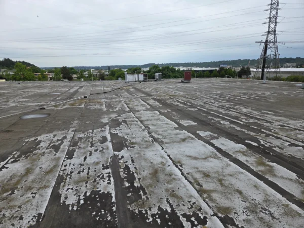 Leaking Roof in a Seattle Commercial Building: Causes and Fixes