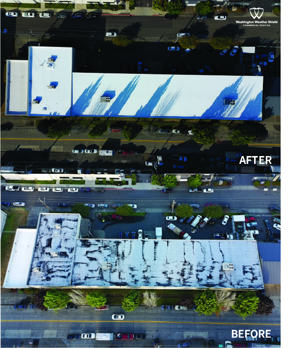 Commercial Roof Case Study - Demgy Pacific
